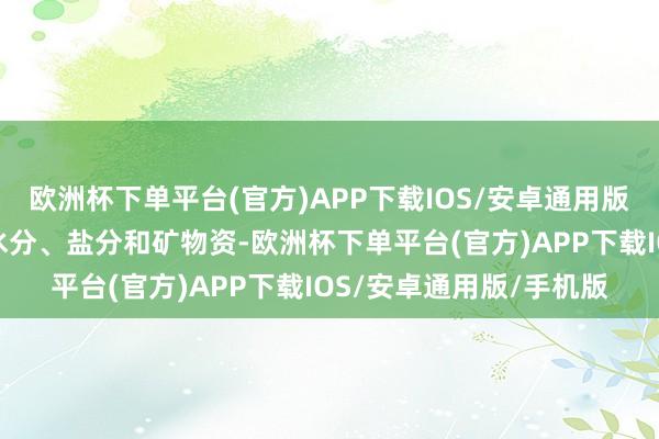 欧洲杯下单平台(官方)APP下载IOS/安卓通用版/手机版实时合理补充水分、盐分和矿物资-欧洲杯下单平台(官方)APP下载IOS/安卓通用版/手机版