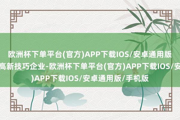 欧洲杯下单平台(官方)APP下载IOS/安卓通用版/手机版算作一家高新技巧企业-欧洲杯下单平台(官方)APP下载IOS/安卓通用版/手机版