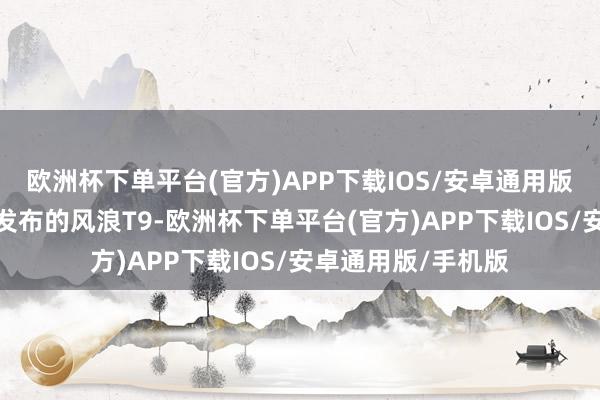 欧洲杯下单平台(官方)APP下载IOS/安卓通用版/手机版撤除刚刚发布的风浪T9-欧洲杯下单平台(官方)APP下载IOS/安卓通用版/手机版