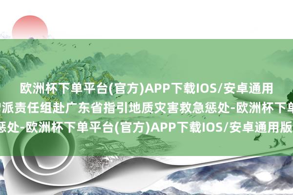 欧洲杯下单平台(官方)APP下载IOS/安卓通用版/手机版救急顾问部增派责任组赴广东省指引地质灾害救急惩处-欧洲杯下单平台(官方)APP下载IOS/安卓通用版/手机版