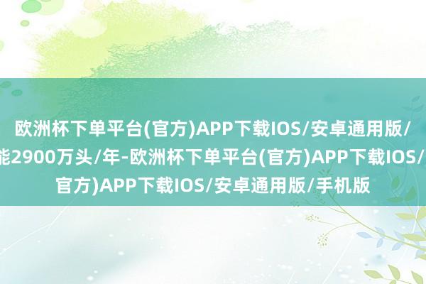 欧洲杯下单平台(官方)APP下载IOS/安卓通用版/手机版投产宰杀产能2900万头/年-欧洲杯下单平台(官方)APP下载IOS/安卓通用版/手机版