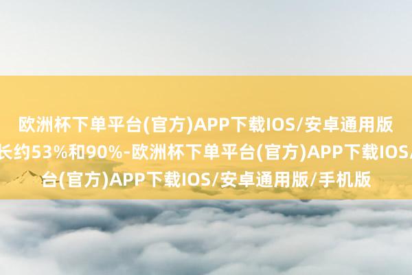 欧洲杯下单平台(官方)APP下载IOS/安卓通用版/手机版同比分袂增长约53%和90%-欧洲杯下单平台(官方)APP下载IOS/安卓通用版/手机版