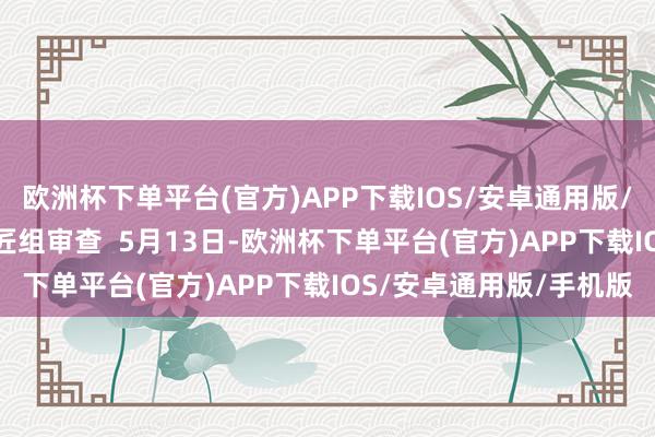 欧洲杯下单平台(官方)APP下载IOS/安卓通用版/手机版  送审稿通过巨匠组审查  5月13日-欧洲杯下单平台(官方)APP下载IOS/安卓通用版/手机版