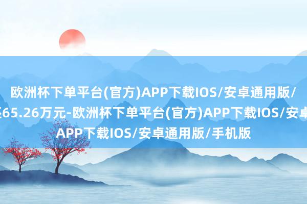 欧洲杯下单平台(官方)APP下载IOS/安卓通用版/手机版融资偿还65.26万元-欧洲杯下单平台(官方)APP下载IOS/安卓通用版/手机版