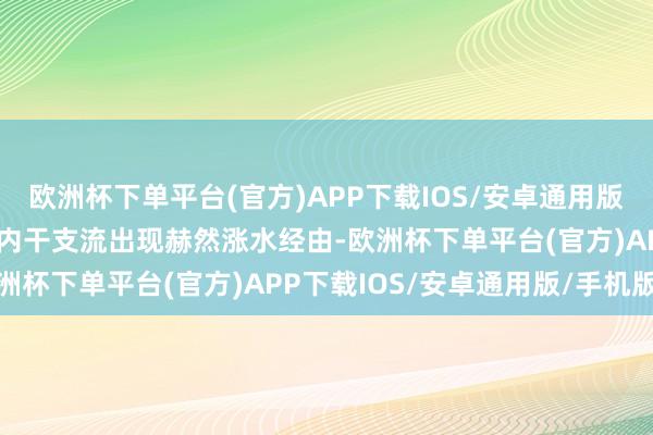 欧洲杯下单平台(官方)APP下载IOS/安卓通用版/手机版安徽省黄山市境内干支流出现赫然涨水经由-欧洲杯下单平台(官方)APP下载IOS/安卓通用版/手机版