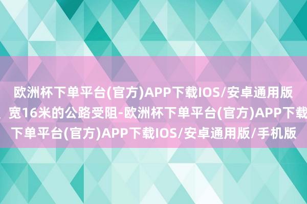 欧洲杯下单平台(官方)APP下载IOS/安卓通用版/手机版酿成长160米、宽16米的公路受阻-欧洲杯下单平台(官方)APP下载IOS/安卓通用版/手机版