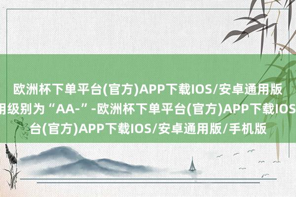 欧洲杯下单平台(官方)APP下载IOS/安卓通用版/手机版起帆转债信用级别为“AA-”-欧洲杯下单平台(官方)APP下载IOS/安卓通用版/手机版