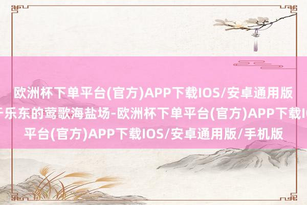 欧洲杯下单平台(官方)APP下载IOS/安卓通用版/手机版首站来到了位于乐东的莺歌海盐场-欧洲杯下单平台(官方)APP下载IOS/安卓通用版/手机版