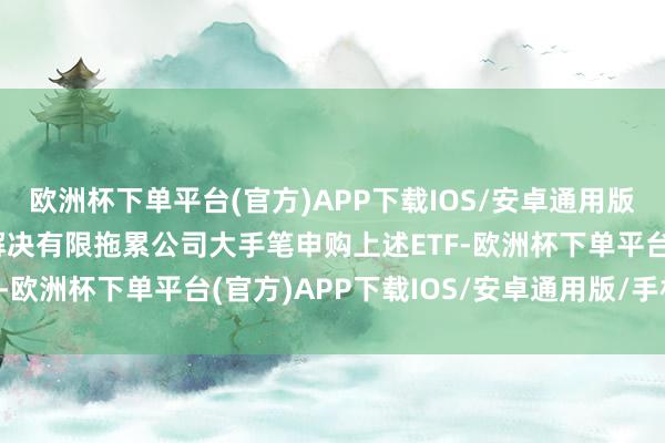 欧洲杯下单平台(官方)APP下载IOS/安卓通用版/手机版中央汇金钞票解决有限拖累公司大手笔申购上述ETF-欧洲杯下单平台(官方)APP下载IOS/安卓通用版/手机版