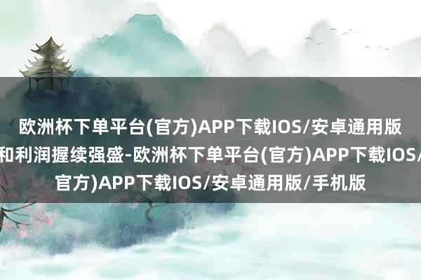 欧洲杯下单平台(官方)APP下载IOS/安卓通用版/手机版该公司收入和利润握续强盛-欧洲杯下单平台(官方)APP下载IOS/安卓通用版/手机版