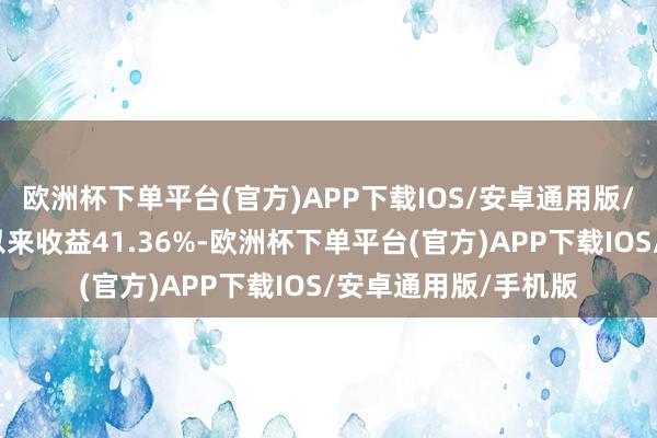 欧洲杯下单平台(官方)APP下载IOS/安卓通用版/手机版该基金开发以来收益41.36%-欧洲杯下单平台(官方)APP下载IOS/安卓通用版/手机版