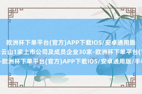 欧洲杯下单平台(官方)APP下载IOS/安卓通用版/手机版广药集团领有白云山1家上市公司及成员企业30家-欧洲杯下单平台(官方)APP下载IOS/安卓通用版/手机版