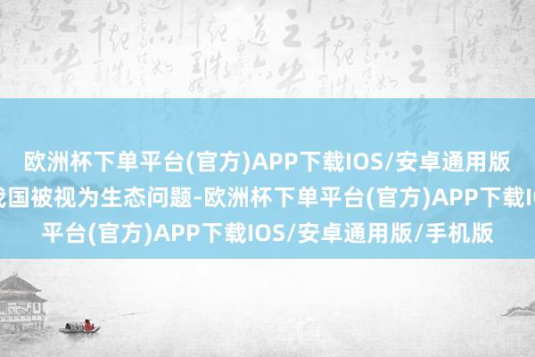 欧洲杯下单平台(官方)APP下载IOS/安卓通用版/手机版尽管这种鱼在我国被视为生态问题-欧洲杯下单平台(官方)APP下载IOS/安卓通用版/手机版