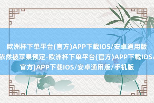 欧洲杯下单平台(官方)APP下载IOS/安卓通用版/手机版按首批产能依然被苹果预定-欧洲杯下单平台(官方)APP下载IOS/安卓通用版/手机版