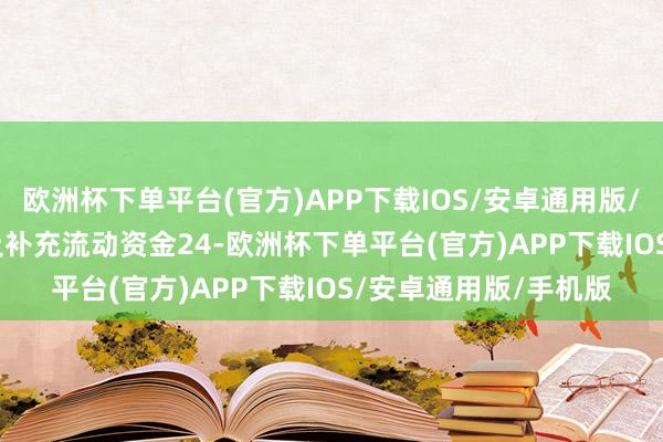 欧洲杯下单平台(官方)APP下载IOS/安卓通用版/手机版000.00万元及补充流动资金24-欧洲杯下单平台(官方)APP下载IOS/安卓通用版/手机版