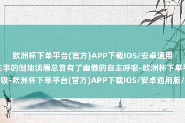 欧洲杯下单平台(官方)APP下载IOS/安卓通用版/手机版不省东说念主事的倒地须眉总算有了幽微的自主呼吸-欧洲杯下单平台(官方)APP下载IOS/安卓通用版/手机版