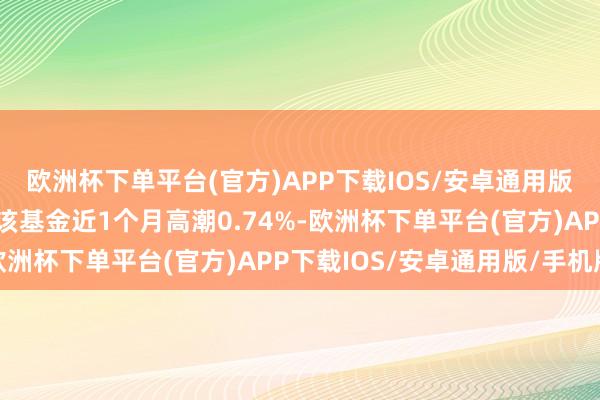 欧洲杯下单平台(官方)APP下载IOS/安卓通用版/手机版历史数据清楚该基金近1个月高潮0.74%-欧洲杯下单平台(官方)APP下载IOS/安卓通用版/手机版