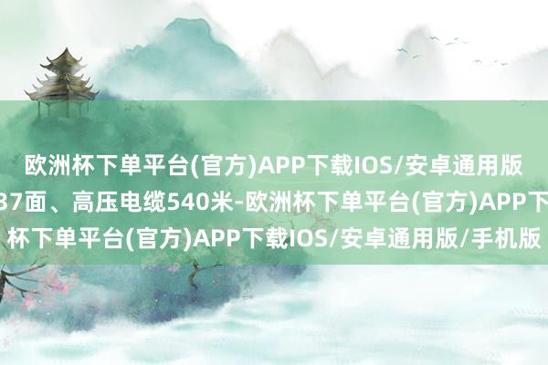 欧洲杯下单平台(官方)APP下载IOS/安卓通用版/手机版减少开垦盘柜37面、高压电缆540米-欧洲杯下单平台(官方)APP下载IOS/安卓通用版/手机版