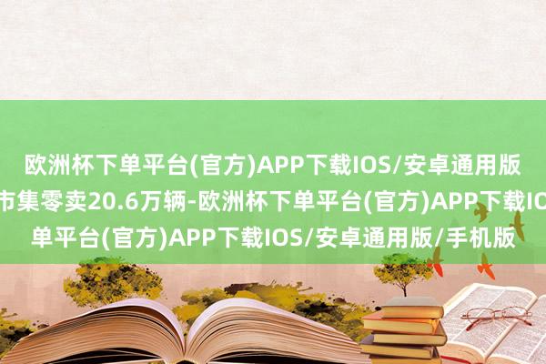 欧洲杯下单平台(官方)APP下载IOS/安卓通用版/手机版新动力乘用车市集零卖20.6万辆-欧洲杯下单平台(官方)APP下载IOS/安卓通用版/手机版