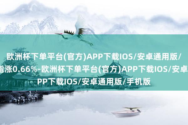 欧洲杯下单平台(官方)APP下载IOS/安卓通用版/手机版创业板指涨0.66%-欧洲杯下单平台(官方)APP下载IOS/安卓通用版/手机版