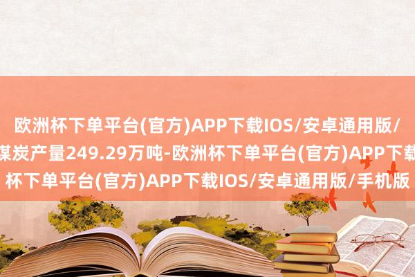 欧洲杯下单平台(官方)APP下载IOS/安卓通用版/手机版24Q4公司已毕煤炭产量249.29万吨-欧洲杯下单平台(官方)APP下载IOS/安卓通用版/手机版