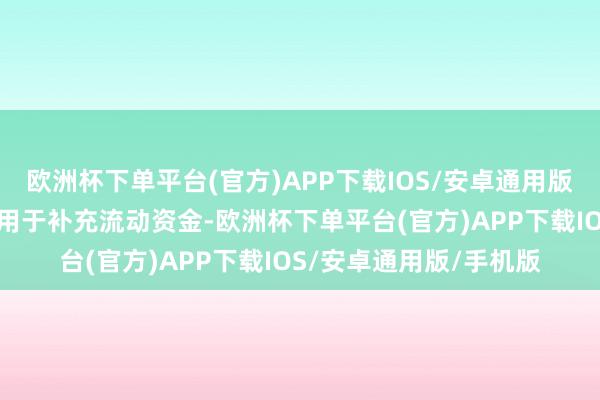 欧洲杯下单平台(官方)APP下载IOS/安卓通用版/手机版质押融资资金用于补充流动资金-欧洲杯下单平台(官方)APP下载IOS/安卓通用版/手机版